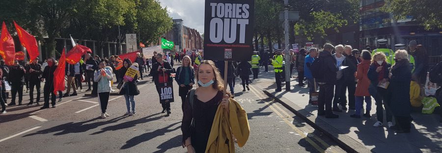 Conservative Protest Ox