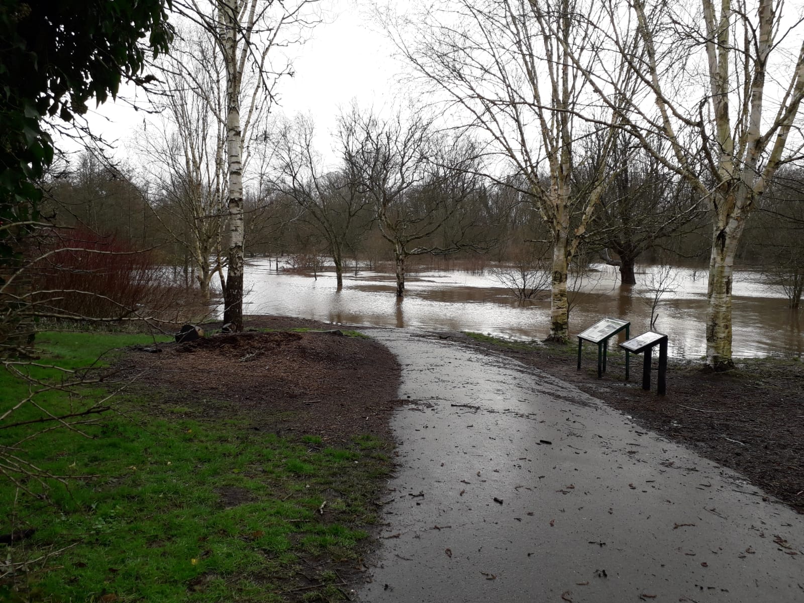 Didsbury flood in the park 2022
