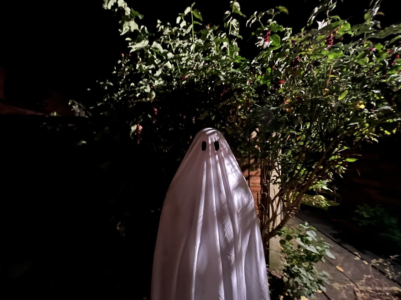 White Sheet Ghost - Thomas Mansbridge