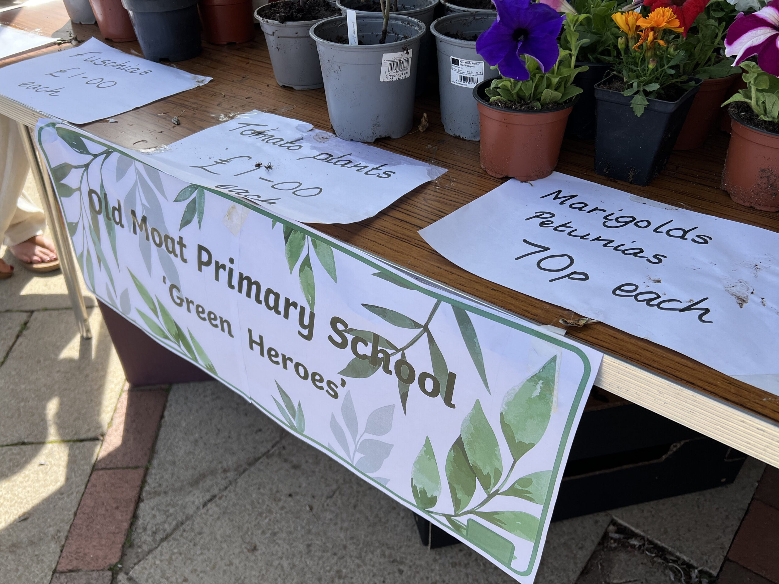 Multiple flowers being sold by local school for £1 and 70p each. Sign reads "Old Moat Primary School 'Green Heroes'"