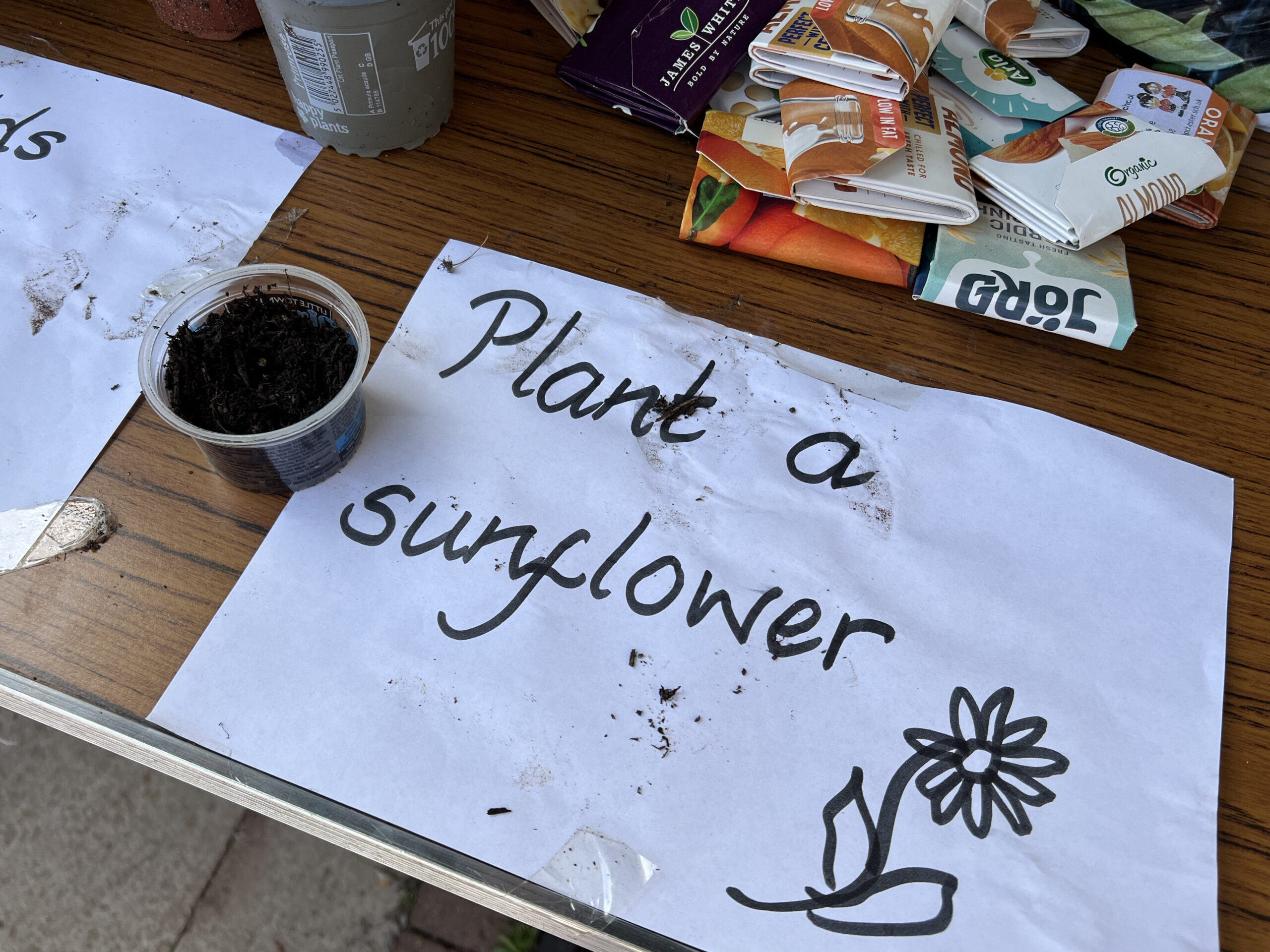Sign reads "Plant a sunflower" with a pot of soil and seeds.