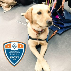 guide_dog
