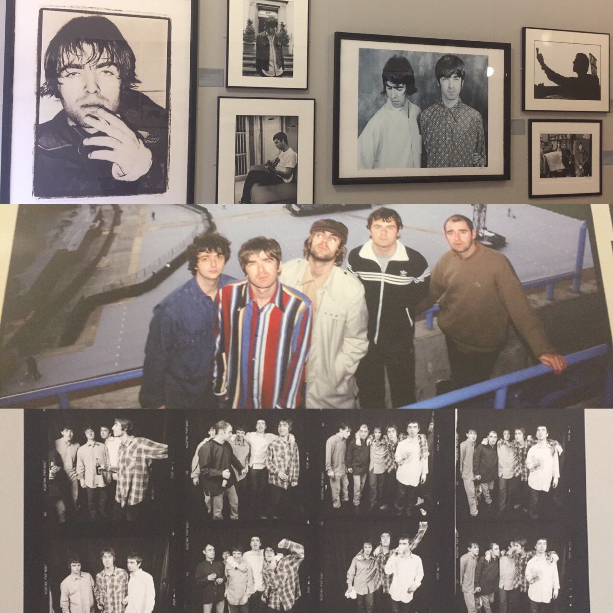 Oasis Exhibit at Central Library