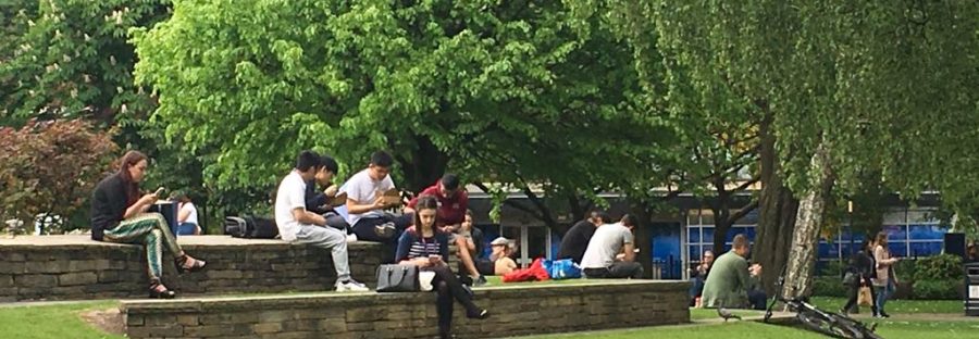 students_on_grass