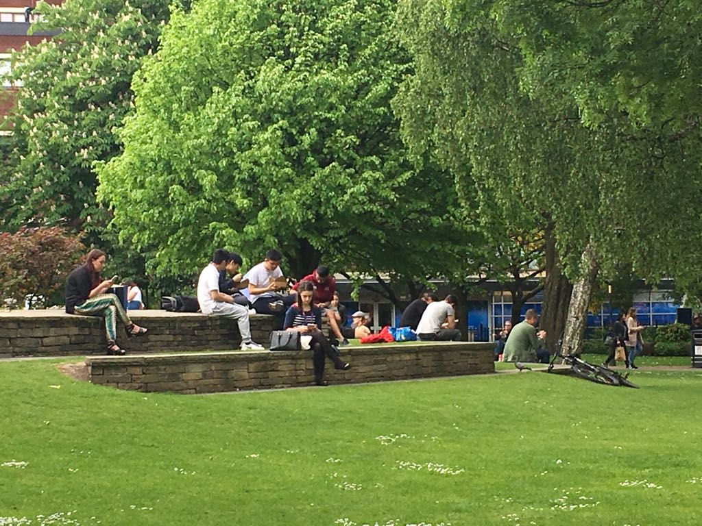 students_on_grass