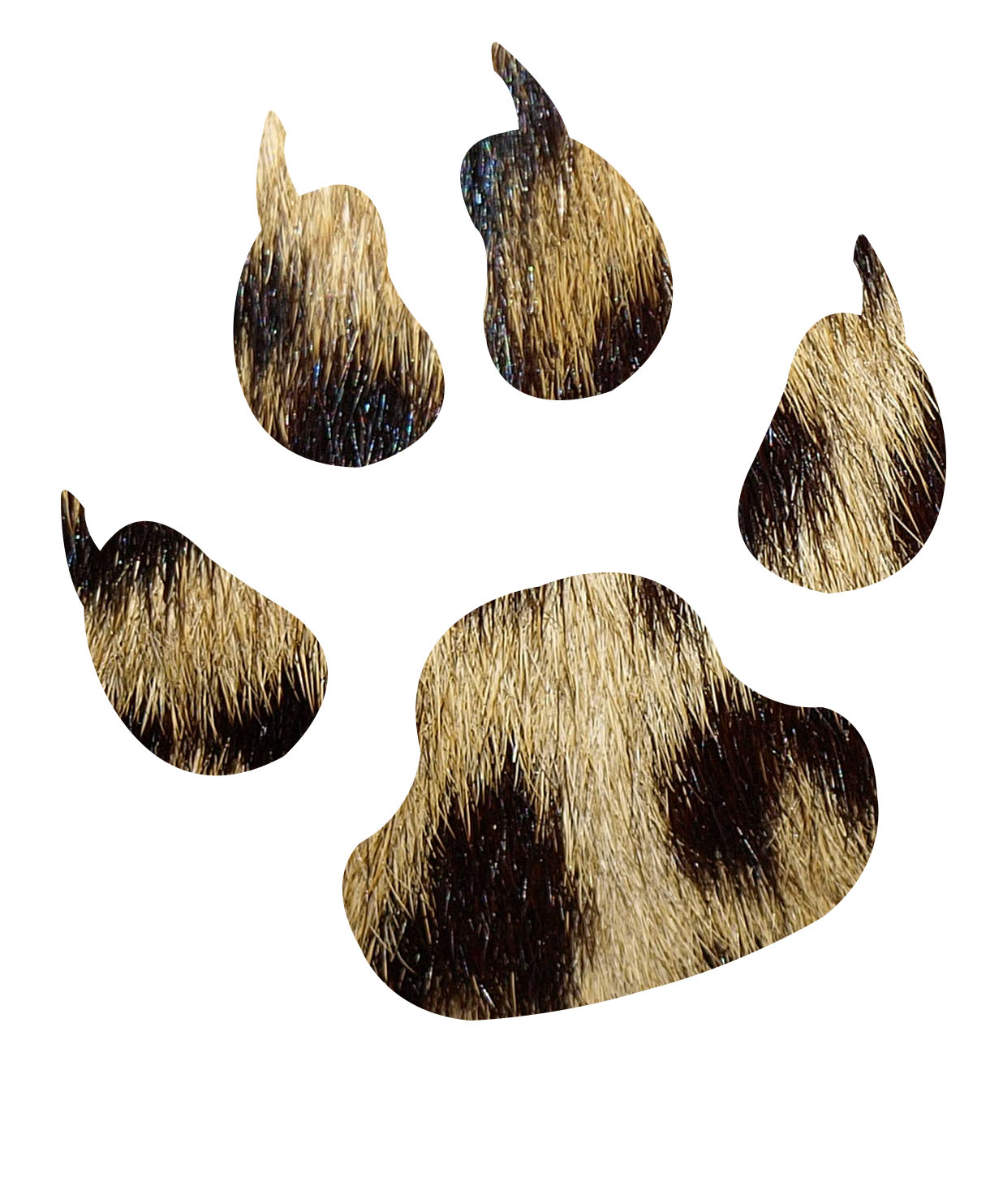 _2_campaign_logo_