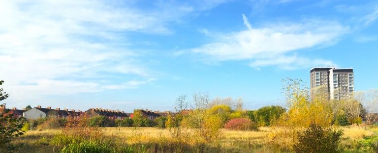 nutsford_vale