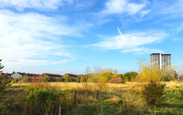 nutsford_vale