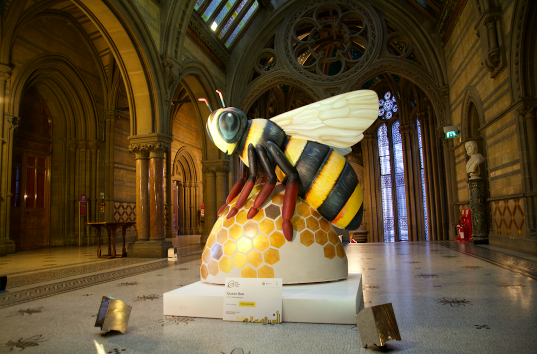 Photography by David Oates