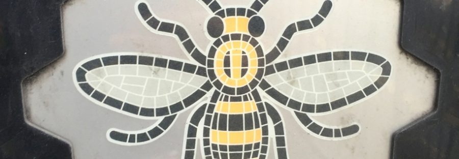 the_manchester_project