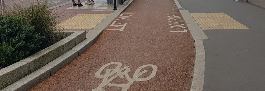 Cycle Lane - Cass Hyde