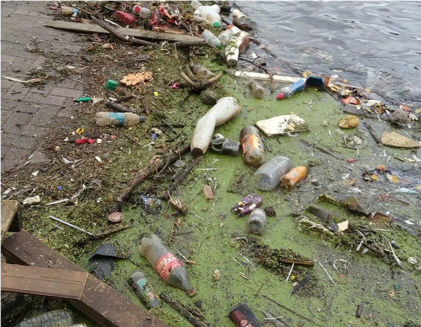 Pollution Salford Quays