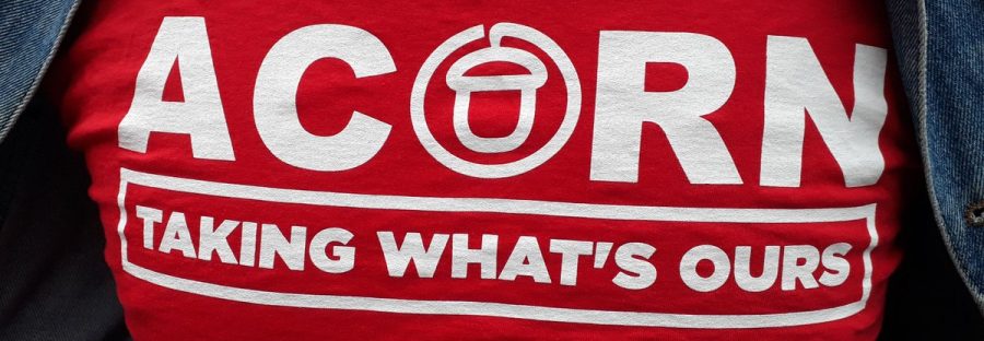 acorn