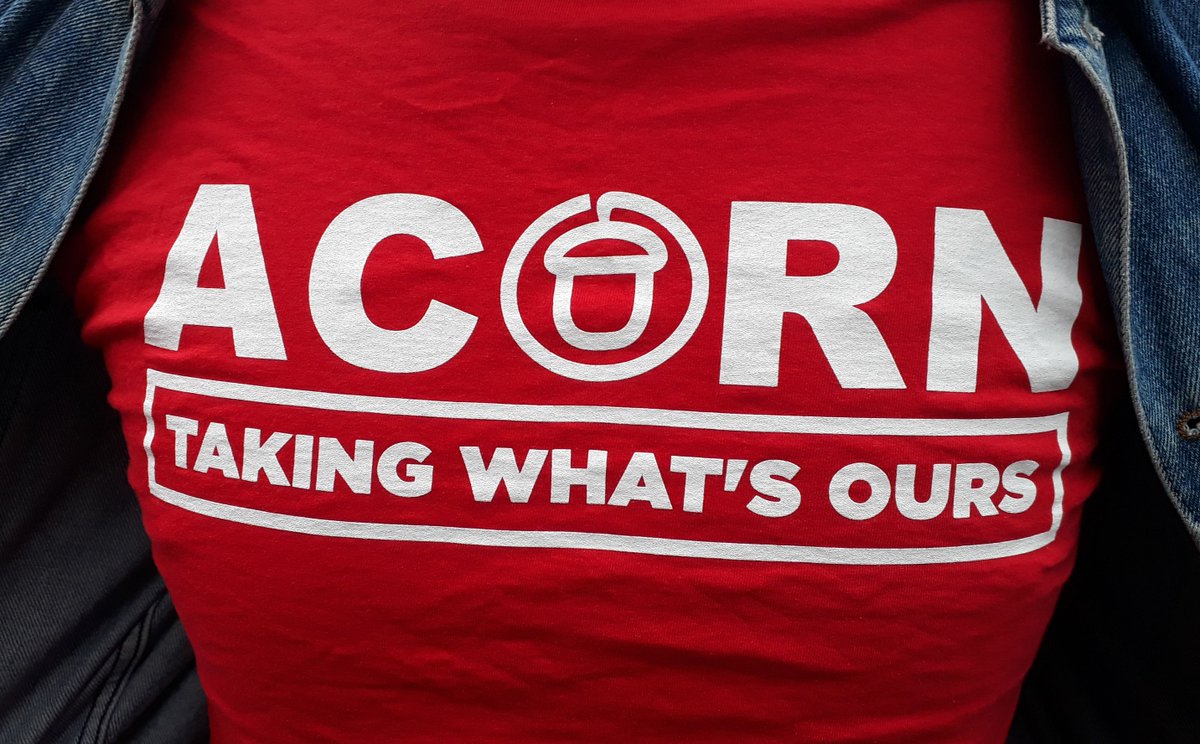 acorn