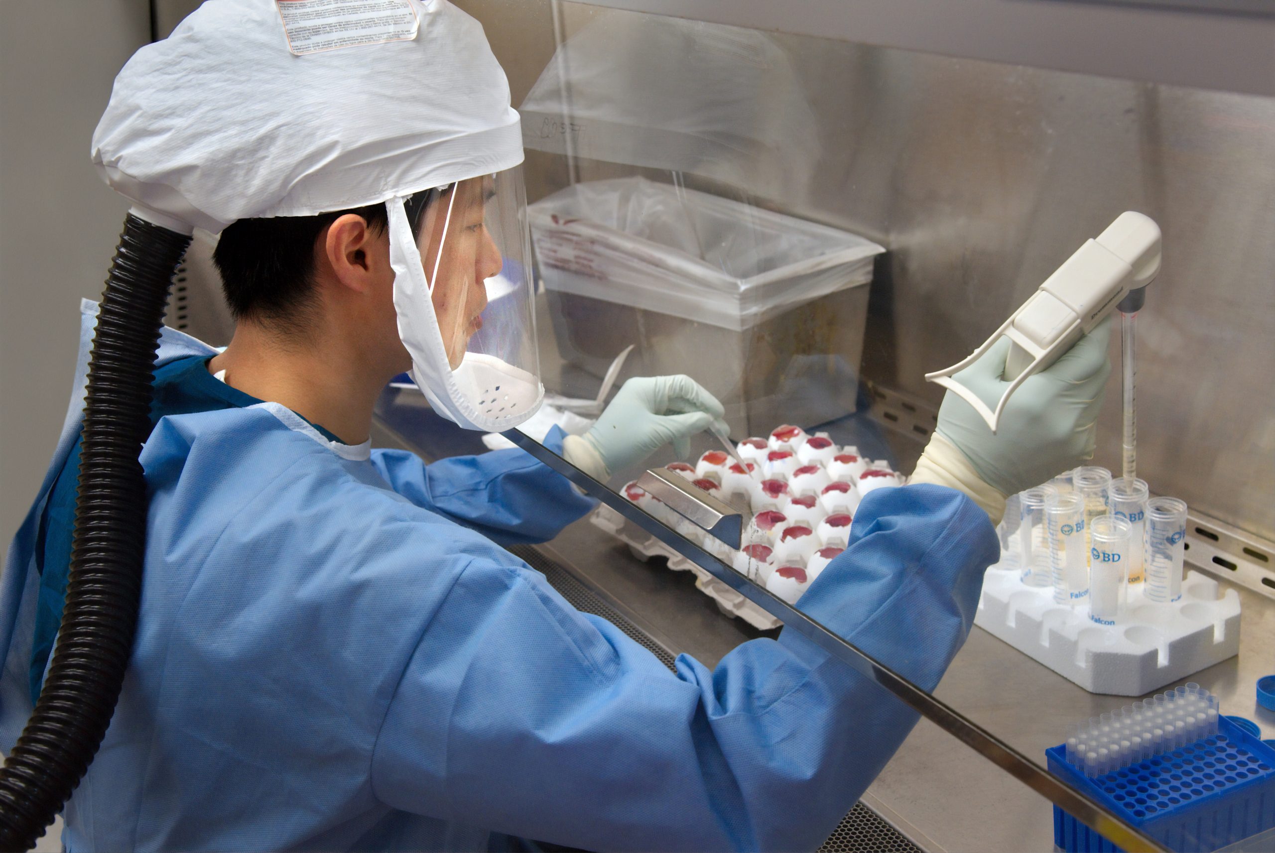 coronavirus_