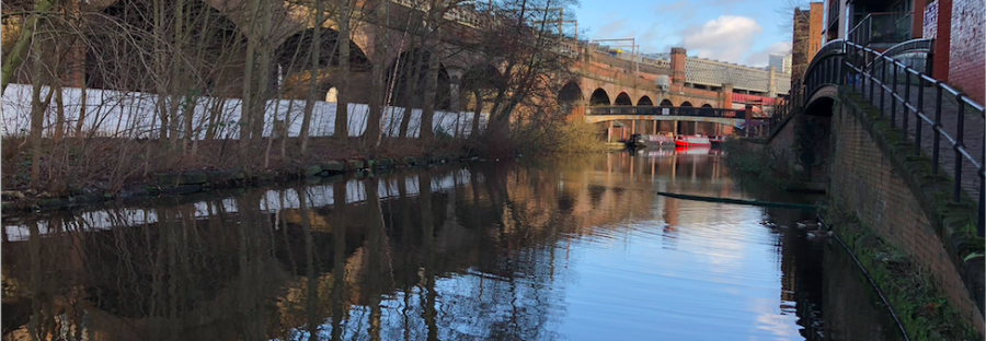 Bridgewater Canal Bank