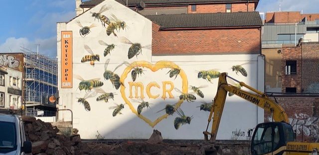 22 bees