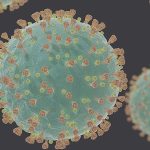 800px-coronavirus_sars-cov-2