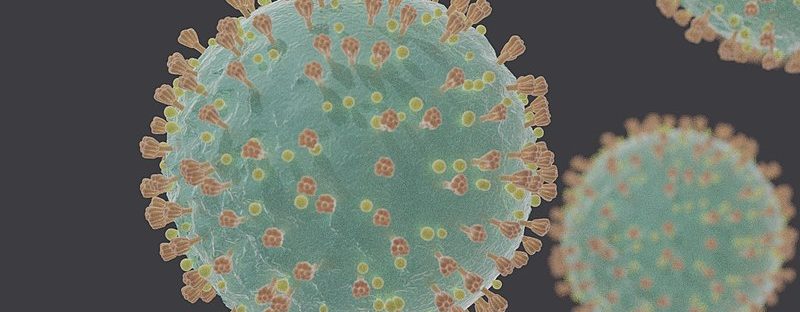 800px-coronavirus_sars-cov-2