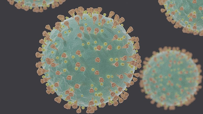 800px-coronavirus_sars-cov-2