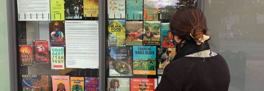 anti_racist_shelf_window_display
