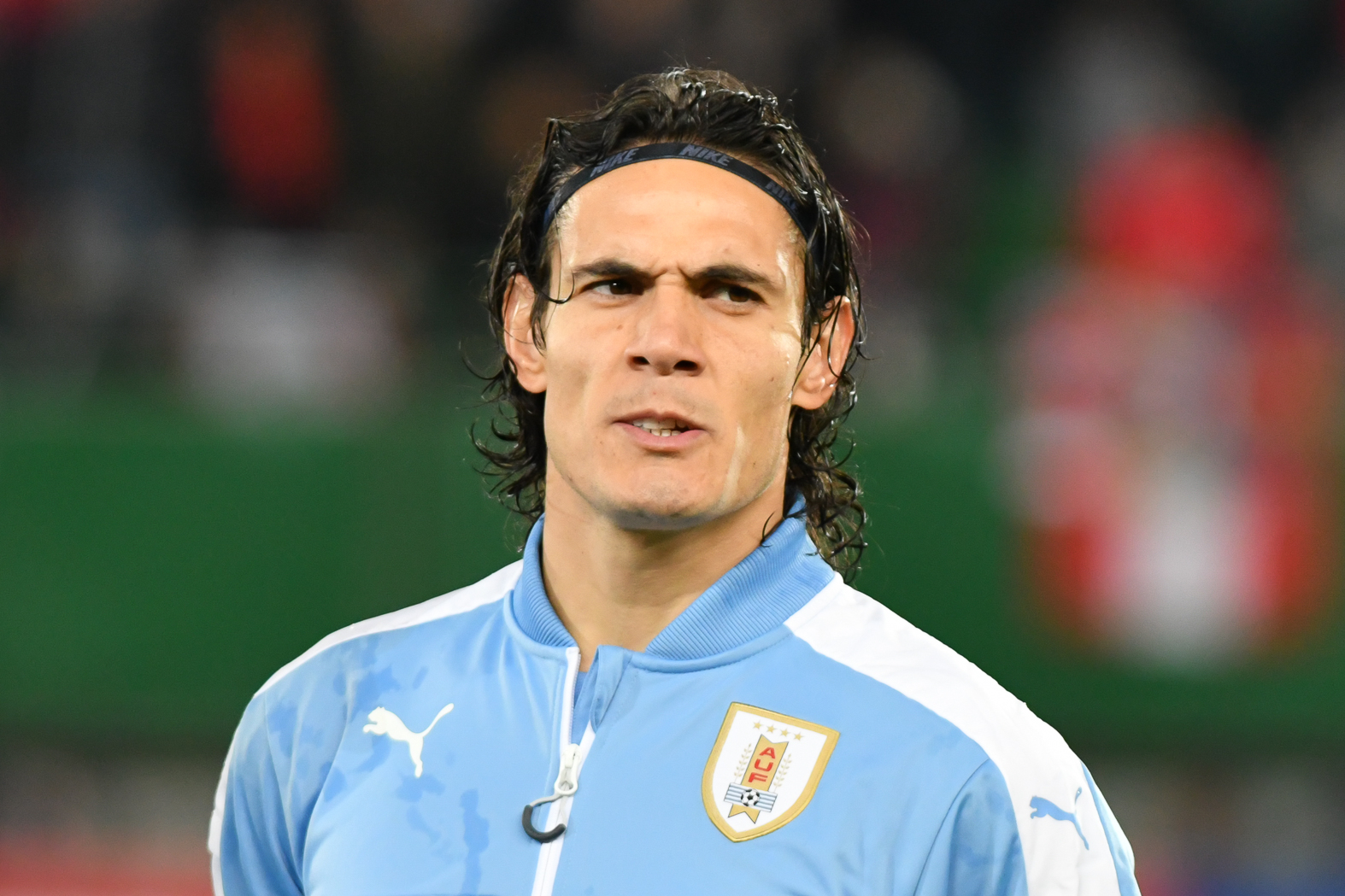 cavani