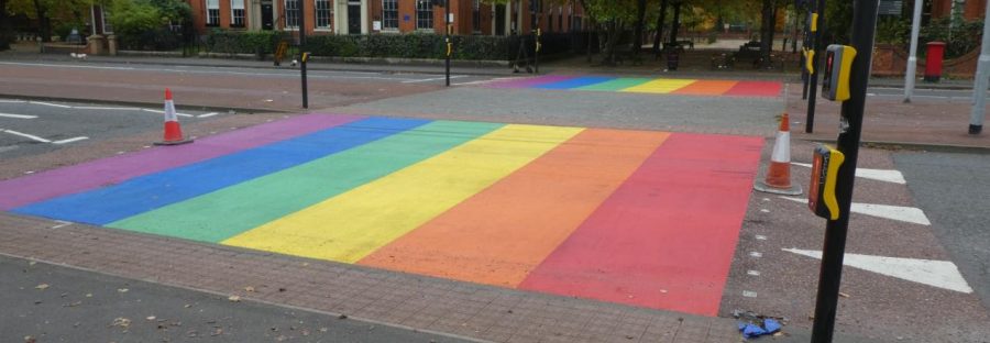 kevin_puffin_crossing