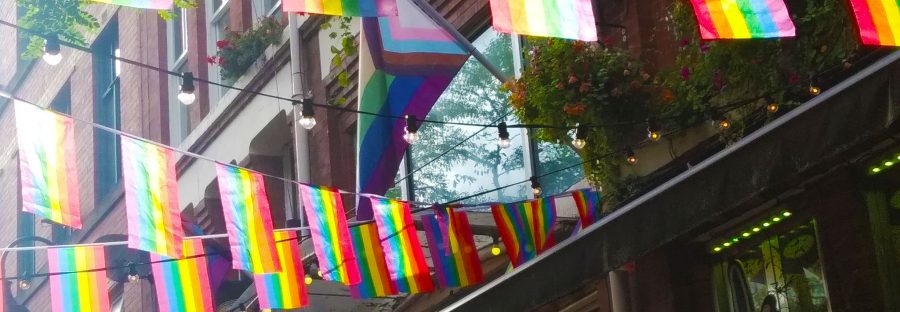 translgbt_flag