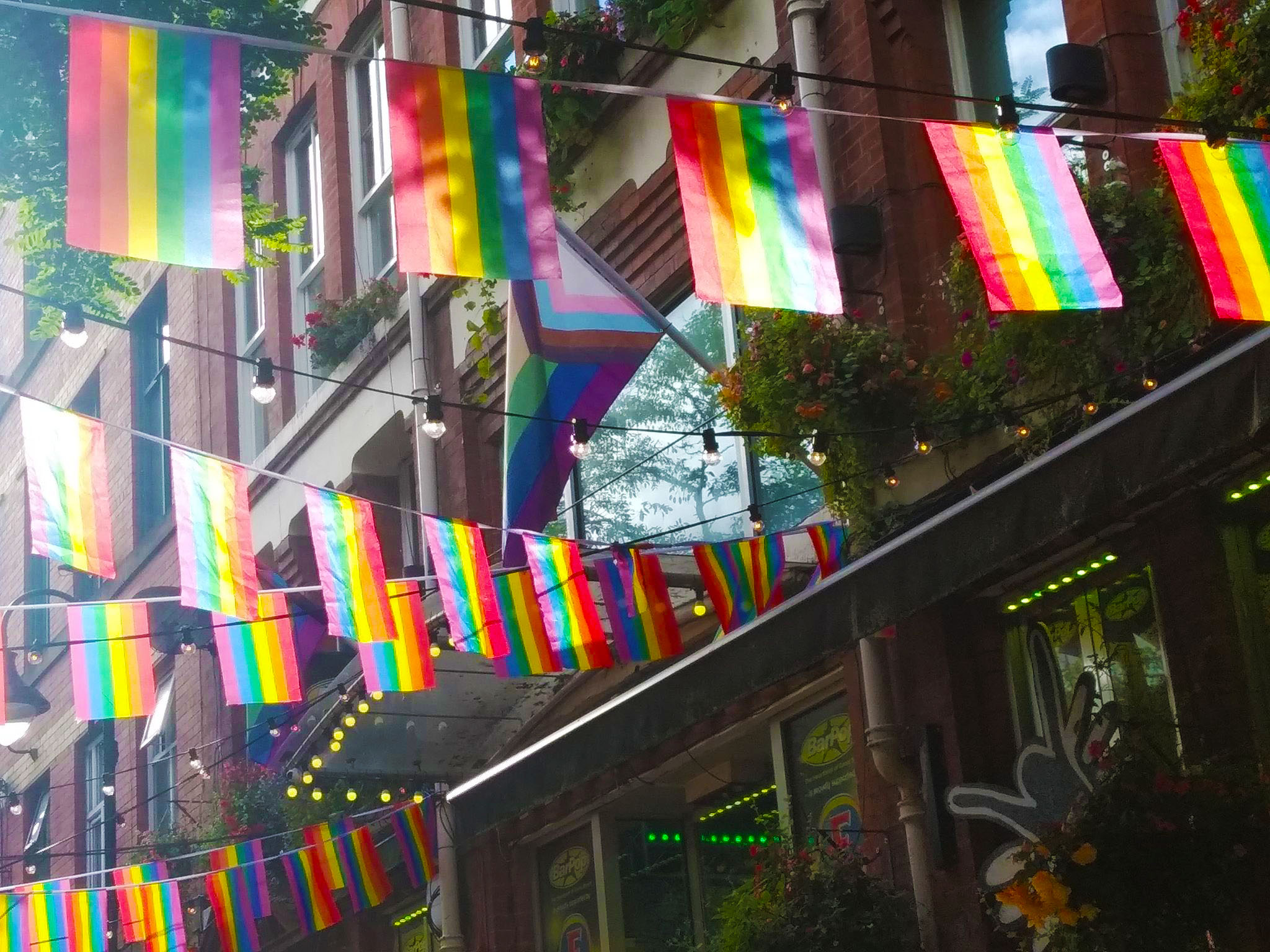 translgbt_flag