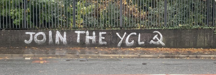 ycl_1