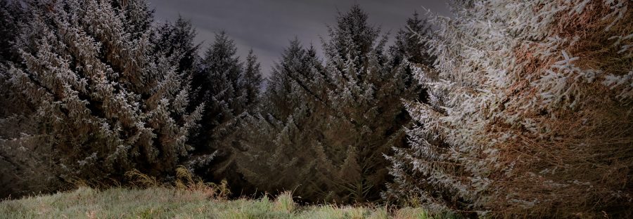 macclesfield-forest-sept-2020-203012936