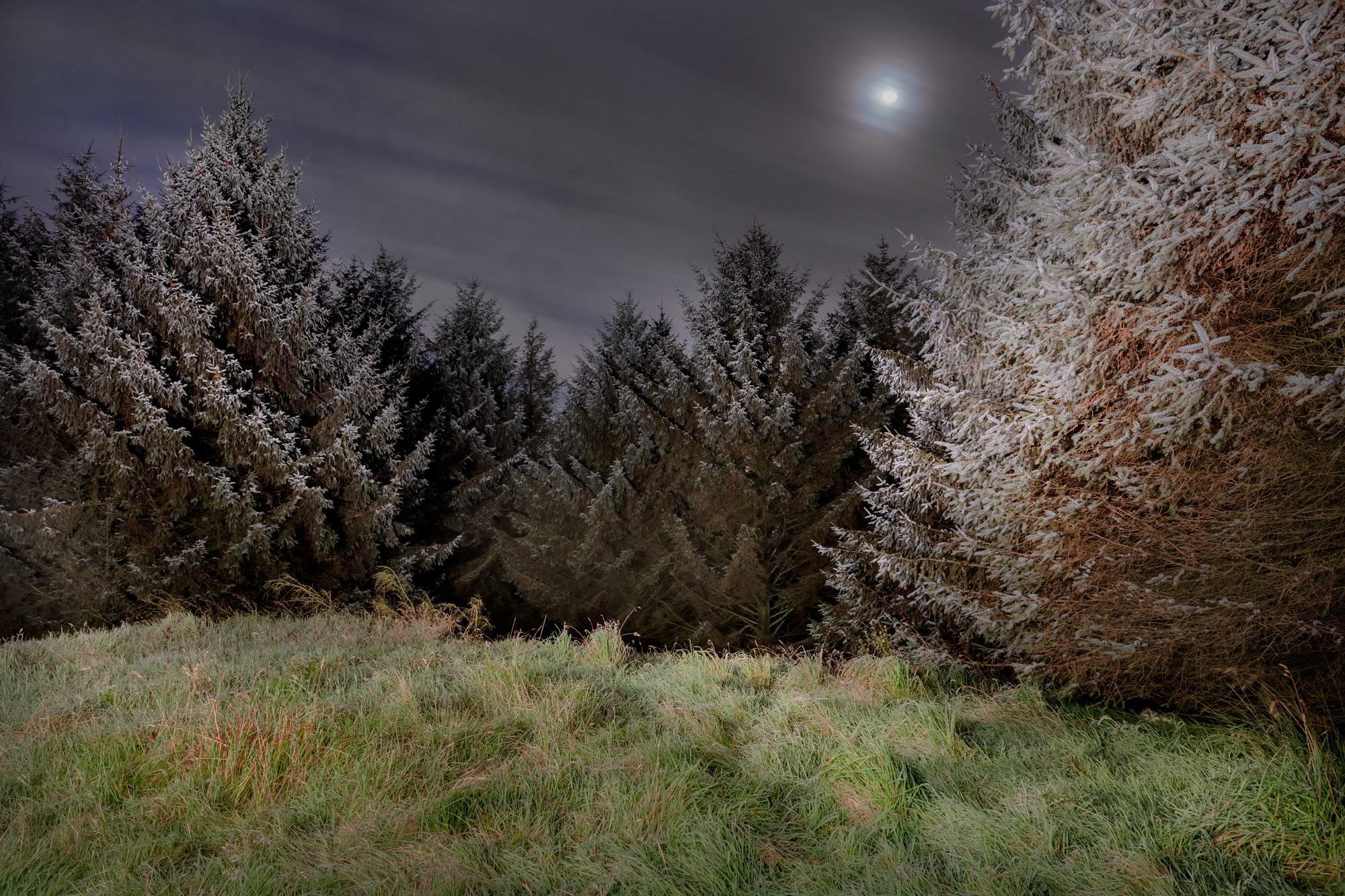 macclesfield-forest-sept-2020-203012936