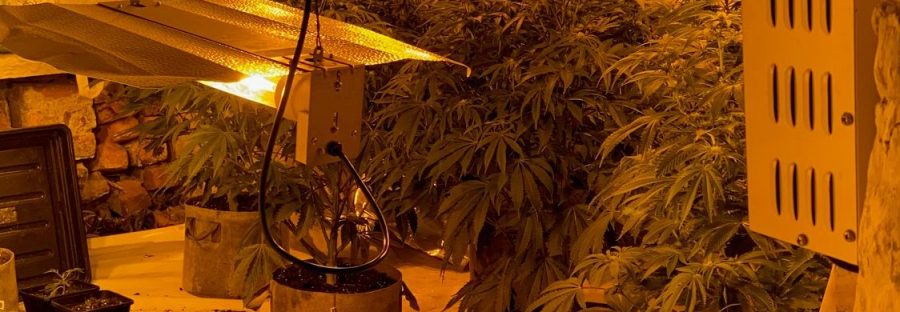 GMP Bury South Cannabis