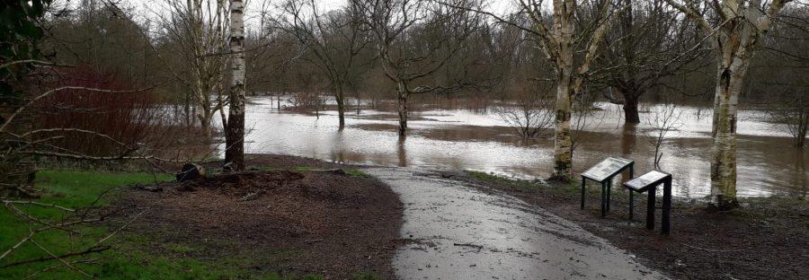 Didsbury flood in the park 2022