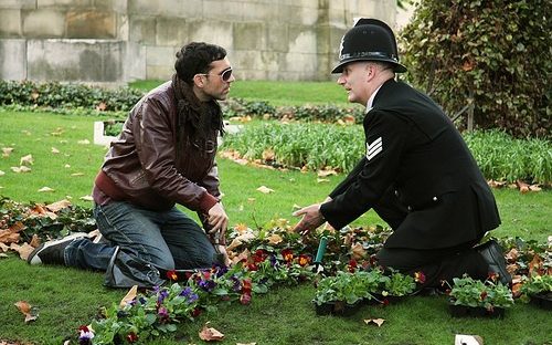 pansies_header