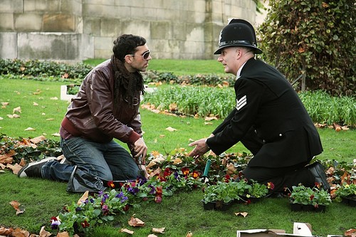 pansies_header