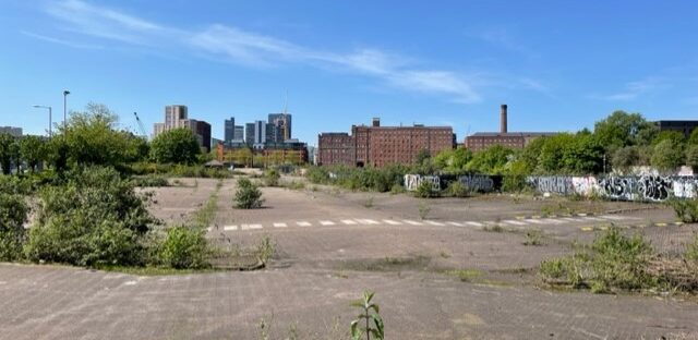 Empty building site with overgrown hedges and skyline