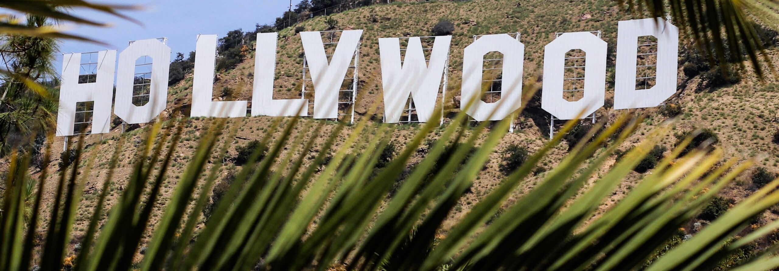 Hollywood written in white big letters across a field