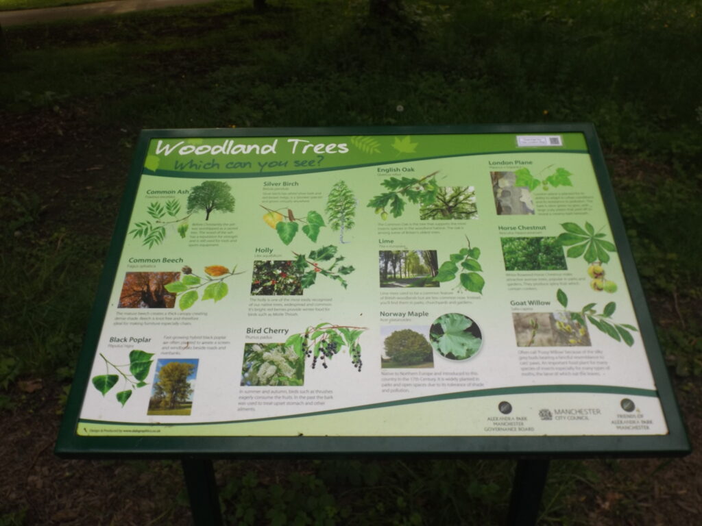 W4Wildlife Whalley Range tree diversity wildlife in Alexandra Park