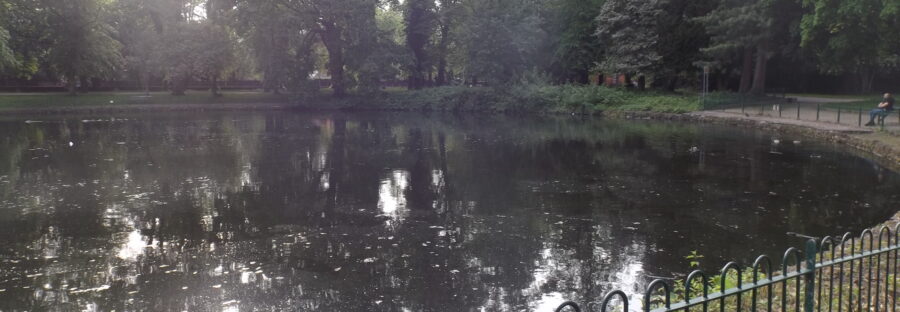 WR4Wildlife Whalley wildlife and nature in Alexandra Park