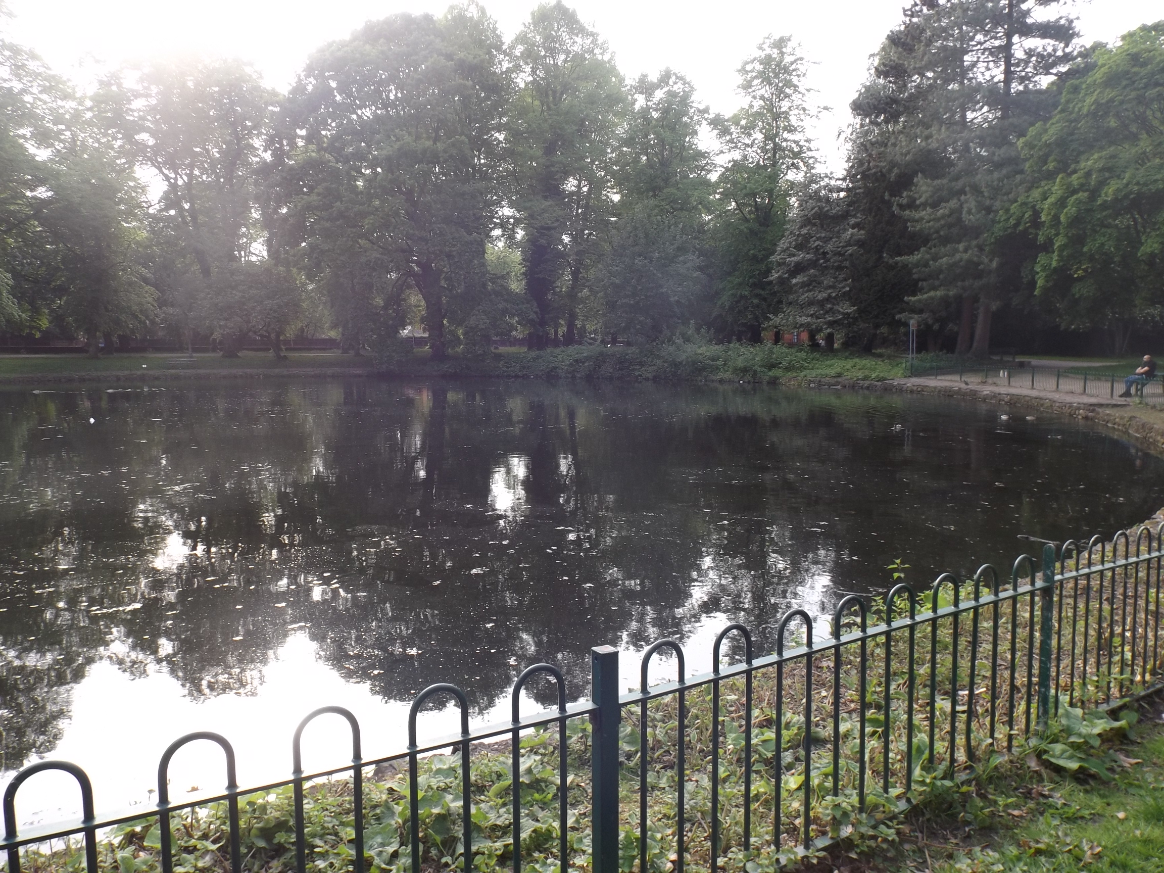 WR4Wildlife Whalley wildlife and nature in Alexandra Park