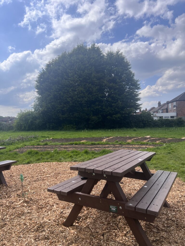 View of Forever Fields